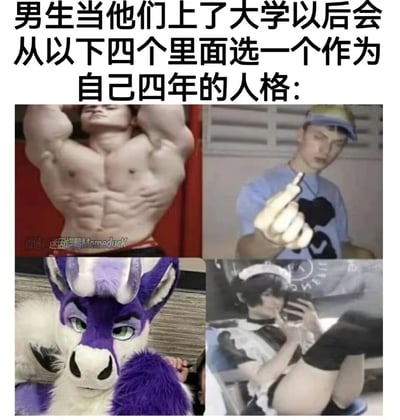 图片上方配有文字“男生当他们上了大学以后会从以下四个里面选一个作为自己四年的人格：”，下方以2x2网格形式排列四张图片。左上为赤裸上身、肌肉线条明显的男性展示腹肌；右上为穿着蓝色T恤戴帽子的男性伸出手指向前方；左下为紫色毛发、带有白色角的拟人化动物角色（furry风格）；右下为穿着女仆装的人坐在床上使用手机。整体通过夸张对比不同形象，幽默调侃大学男生可能形成的多样化人格类型。