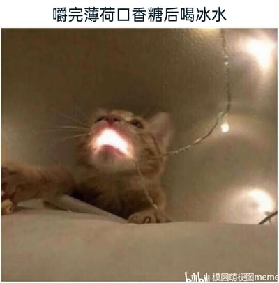 这张梗图通过P图的方式，将一只橘色小猫咪的嘴巴区域处理成发光效果，搭配上方的文字“嚼完薄荷口香糖后喝冰水”，生动又夸张地还原了人们在嚼完薄荷口香糖后饮用冰水时，口腔被强烈清凉感刺激的体验，用可爱的猫咪形象放大了这种日常体验的趣味性，让观者能快速共鸣到那种“凉到发光”的冰爽感受。