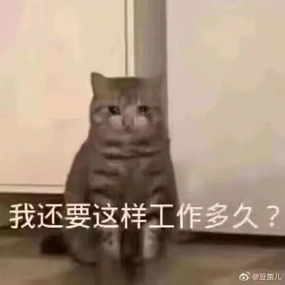 这是一张文字加注类的静态表情包图片，主体是一只灰色条纹猫咪，它双眼泛红，神情委屈疲惫，满脸愁容地端坐在墙角处。图片底部配有白色文字“我还要这样工作多久？”，将猫咪的委屈神态与打工人的职场倦怠情绪相结合，精准表达出职场人在长期工作后产生的疲惫、迷茫以及对无休止工作的无奈吐槽，很容易引发打工人的情感共鸣。