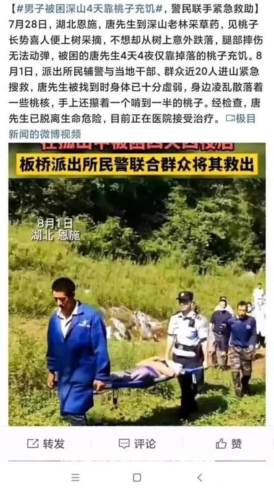这是一则真实事件的新闻报道截图，内容为湖北恩施的唐先生在7月28日进山采草药时，因摘桃子意外跌落腿部受伤被困深山，4天4夜仅靠掉落的桃子充饥。8月1日，派出所辅警联合当地干部、群众近20人进山搜救，成功将其救出。被找到时唐先生身体十分虚弱，身边散落桃核，手里还攥着啃了一半的桃子，目前已脱离生命危险在医院治疗。截图上方是详细的新闻文字内容，下方是救援现场照片，显示多名救援人员用担架抬着唐先生在山林的草地中行进。