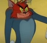 图片中是经典动画《猫和老鼠》中的主角汤姆（Tom），一只红色毛发的猫。它呈现出极度愤怒的表情：眉头紧锁，眼睛瞪大且瞳孔收缩，嘴巴张开露出尖锐的牙齿，一只爪子向前伸出，似乎正处于准备攻击或追逐的状态。整体画面聚焦于汤姆愤怒的面部和肢体动作，展现了其在动画中常见的暴躁情绪。