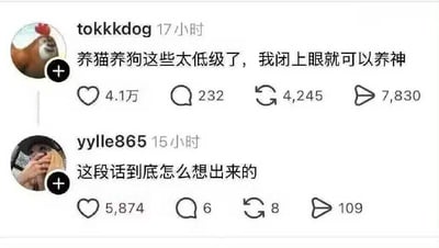 这是一张社交平台的发言截图，展示了两条用户互动内容：用户tokkkdog发布文案“养猫养狗这些太低级了，我闭上眼就可以养神”，该内容获得了4.1万点赞、232条评论、4245次转发和7830次分享；随后用户yylle865评论“这段话到底怎么想出来的”，该评论获得了5874次点赞，这段内容是中文谐音双关梗，发言的“养神”带有暗示性内涵，引发网友意会。