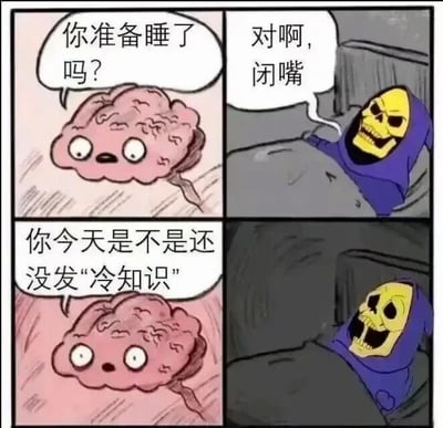 四格连环漫画展现睡前场景：第一格粉色大脑卡通形象睁着大眼睛问“你准备睡了吗？”；第二格戴紫色兜帽的骷髅躺在床上不耐烦回应“对啊，闭嘴”；第三格大脑继续追问“你今天是不是还没发‘冷知识’”；第四格骷髅表情震惊，嘴巴大张。通过拟人化的大脑和骷髅对话，幽默呈现人们睡前被未完成任务（发冷知识）突然提醒的真实体验，引发共鸣。