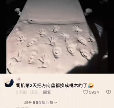 这是一张来自抖音的社交媒体截图梗图，画面中一辆被厚厚积雪覆盖的汽车引擎盖上，被人按压出多个人脸和手掌的凹陷造型，视觉上仿佛有多人“嵌在雪车中”，十分猎奇。下方的评论“司机第2天把方向盘都换成桃木的了”玩了“桃木辟邪”的传统说法梗，将猎奇的画面联想成“闹鬼”场景，用换桃木方向盘来“辟邪”的反差感制造笑点，趣味十足。