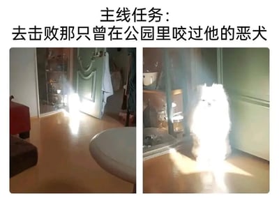 这是一张充满趣味的图文梗图，上方配有文字“主线任务：去击败那只曾在公园里咬过他的恶犬”，为小狗设定了复仇任务；下方由两张室内实拍图片组成，左图中阳光从门口照射进房间，地面上只有小狗的影子，仿佛小狗正准备踏上复仇的征程；右图里一只白色小狗站在阳光中，身体被明亮的阳光完全照亮，如同被光芒加持的“战士”，营造出一种小狗为了完成复仇任务，仿佛获得强大力量、即将勇敢出击的搞笑反差感，用日常的光影效果赋予普通萌宠戏剧化的“战士”气场，和它要去击败恶犬的任务形成有趣的呼应，充满戏谑的幽默感。