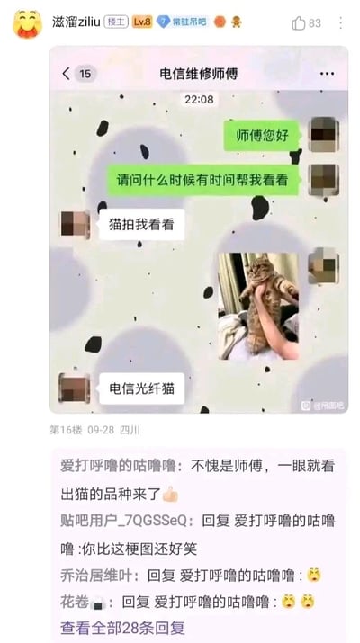 这是一张来自百度贴吧的帖子截图，帖子内容为用户分享的自己和电信维修师傅的微信聊天记录。用户联系师傅请求维修帮助，师傅说“猫拍我看看”，用户误解为拍摄宠物猫，便发送了一张橘猫被提起的照片，随后师傅回复“电信光纤猫”，点明要拍摄的是电信光纤猫设备，利用“猫”的谐音制造了搞笑效果。下方贴吧评论区中，网友“爱打呼噜的咕噜噜”玩梗评论“不愧是师傅，一眼就看出猫的品种来了”，引发其他网友的互动回复，整体内容充满生活趣味，通过谐音梗制造出反差笑点。