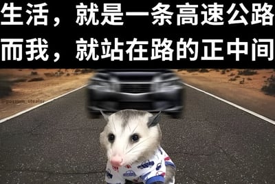 图片上方有两行白色大字：“生活，就是一条高速公路 而我，就站在路的正中间”。下方主体画面是一只穿着印有汽车图案小衬衫的负鼠，正站在荒凉的沙漠高速公路中央，背景中一辆黑色汽车正快速驶来，车身因速度而模糊。整体通过负鼠站在高速路中间的危险场景，比喻生活如同高速运转的公路，而自己却停滞在中间，透露出一种面对快节奏生活的无奈与迷茫感。