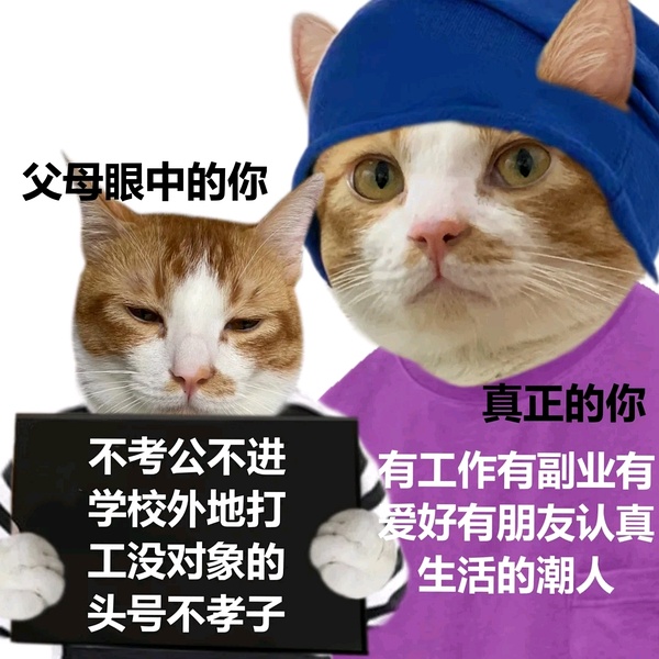 猫