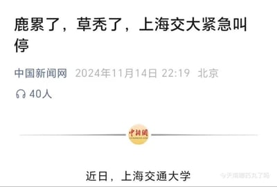 这是一张中国新闻网发布的新闻截图，标题为“鹿累了，草秃了，上海交大紧急叫停”，发布时间为2024年11月14日22:19，地点北京，显示有40人参与相关讨论。图片主体为文字内容，包含新闻来源标识“中国新闻网”及官方圆形水印，底部右侧另有“今天南娜药丸了吗”的转发水印。