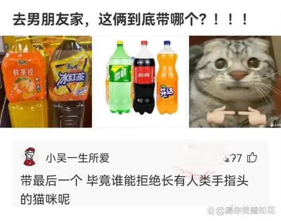 这是一张充满沙雕趣味的社交平台图文内容，顶部以醒目的文字抛出日常疑问：“去男朋友家，这俩到底带哪个？！！！”，并搭配三组图片：第一组是两个超大容量的康师傅鲜果橙与冰红茶，第二组是大瓶装的雪碧、可口可乐、芬达，第三组是经过创意P图的猫咪——猫咪脸部下方被P上一对人类的手，手指正指向自己。下方是用户“小吴一生所爱”的反套路评论，跳出选饮料的常规思路，调侃应该带最后一个，理由是没人能拒绝长着人类手指的猫咪，用夸张的P图和搞笑评论消解了选伴手礼的纠结感，整体风格轻松搞笑，充满生活趣味。