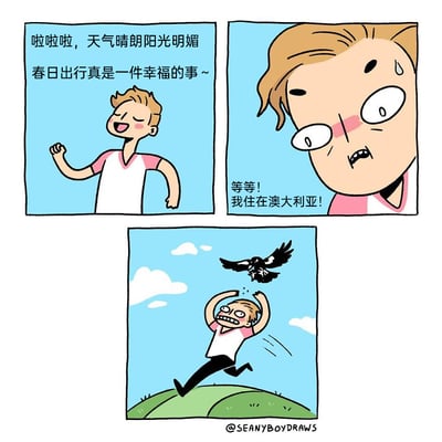 暂无描述