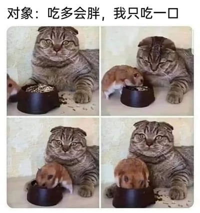 这是一张四格拼接的趣味P图梗图，顶部配文“对象：吃多会胖，我只吃一口”。四格画面依次呈现：第一格，一只胖折耳猫趴在黑色宠物食盆旁，一只瘦仓鼠试探着靠近食盆；第二格，仓鼠开始进食，折耳猫在一旁安静注视；第三格，仓鼠整个钻进食盆中进食，体型已经明显变大；第四格，仓鼠的体型变得和猫的腹部差不多大，依旧埋头在食盆里进食，折耳猫则无奈地看向镜头。该图通过仓鼠从瘦到胖的夸张变化，生动调侃了那些嘴上说着“只吃一口”，实际却控制不住自己、越吃越多的人，尤其贴合情侣关系中一方在饮食和体重问题上的趣味表现，内容贴近生活，充满搞笑感和共鸣感。