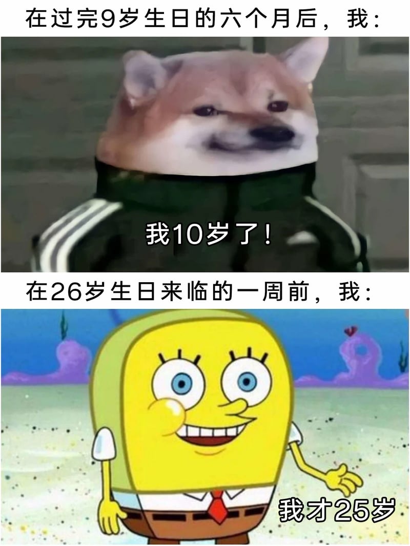 海绵宝宝