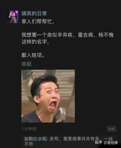 这张图片是一组社交平台段子截图，主要内容是网友求助取一个和“辛弃疾”、“霍去病”、“杨不悔”风格类似的名字，要求姓项。下方有网友机智回复“条苟”，实为对“项苟” 的谐音梗（“想狗”），带有明显网络语言和玩梗属性，令人发笑。整个场景充满创意，展现了网友们对谐音名字、语言幽默的天赋和热情。

**图中包含明显的谐音梗、网络玩梗，尤其涉及到对普通汉字和真实姓氏进行趣味性开发。**