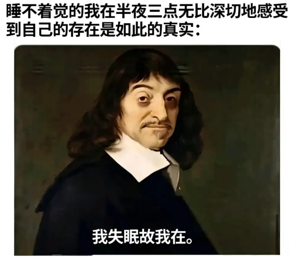 西方近代哲学，代表作为《第一哲学沉思集》《方法论》