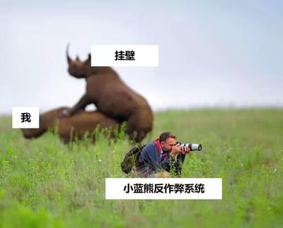 这张梗图改编自一张野生动物错位摄影照片，画面呈现草原场景：上方的犀牛被标注为“挂壁”（指代游戏中使用外挂的玩家），中间被压在身下的犀牛标注为“我”（指代普通游戏玩家），下方蹲着举着相机专注拍摄的摄影师被标注为“小蓝熊反作弊系统”。通过拟人的场景设定，生动调侃了游戏里开挂玩家肆意欺负普通玩家，反作弊系统紧盯违规行为的状态，充满搞笑与讽刺的意味，精准戳中玩家对游戏外挂现象的吐槽点。