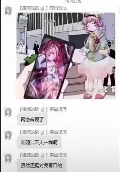 这是一张以聊天记录形式呈现的二次元玩梗图，核心是调侃「网恋奔现照骗」的经典反差桥段：画面里手机屏幕展示的是精致甜美的二次元美少女形象，而现实中奔现的「对象」却是一个神态萎靡、造型邋遢的二次元少女，两者形象差距巨大。搭配聊天框里的文字「网恋奔现了」「和照片不大一样啊」「虽然还挺对我胃口的」，用ACG角色的形象落差放大了网恋中网上形象与现实的反差感，自带搞笑吐槽的效果，精准戳中大家对「照骗」的共鸣。