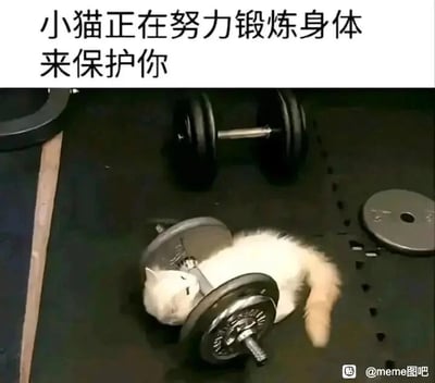 这是一张文字加注类的静态单图，画面背景是健身房的黑色地垫，地垫上摆放着完整的杠铃和被拆开的杠铃部件，一只浅色的小猫躺在拆开的杠铃片与杠铃杆中间，身体被部分压住，神态放松，看起来像是在熟睡。图片上方配有文字“小猫正在努力锻炼身体来保护你”，通过文字描述的“努力锻炼”和实际小猫被杠铃“压住”、毫无锻炼能力的画面形成强烈反差，制造出呆萌搞笑的效果，用可爱的萌宠场景传递治愈感，属于典型的搞笑meme图。