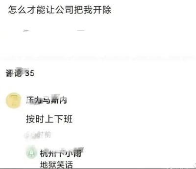 这是一张社交媒体评论截图，顶部显示问题“怎么才能让公司把我开除”，下方有两条用户评论。第一条评论来自“压力马斯内”，内容为“按时上下班”；第二条评论来自“杭州下小雨”，称其为“地狱笑话”。图片通过反差幽默反映了职场中“按时上下班竟被视为可能被开除的行为”这一讽刺现象，暗喻了某些职场环境对员工过度加班的不合理期望。