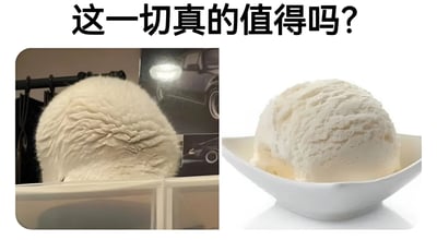 图片上方有黑色文字'这一切真的值得吗?'，下方分为左右两部分。左侧是一个毛茸茸的白色毛球，背景中隐约可见汽车海报；右侧是一个白色碗中盛放的白色冰淇淋球。两者在外形和颜色上高度相似，通过视觉对比引发观众对'付出与回报是否值得'的幽默思考。