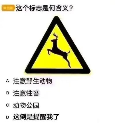 一张交通标志含义测试的梗图，上方为黄色三角形警告标志，内有黑色鹿的剪影，下方配有问题'这个标志是何含义？'及四个选项（A.注意野生动物、B.注意牲畜、C.动物公园、D.这倒是提醒我了）。其中选项D为幽默干扰项，与标准交通知识题的严肃风格形成反差，制造搞笑效果。