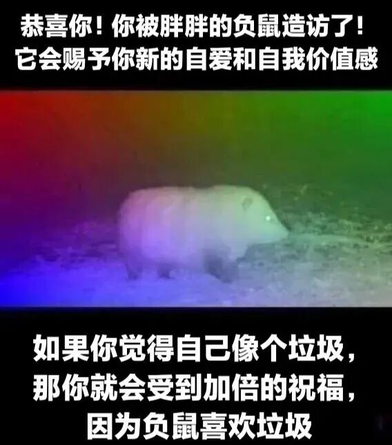 负鼠