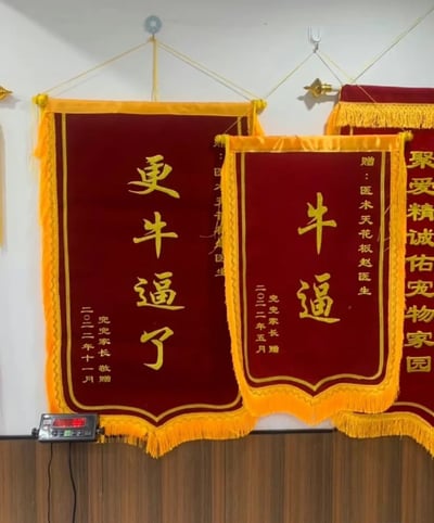 图片展示了三面悬挂在墙上的红色锦旗，均有黄色流苏边框和金色刺绣文字。左侧锦旗主体文字为“更牛逼了”，落款“二〇二二年十一月 兜兜家长 敬赠”；中间锦旗主体文字为“牛逼”，右侧标注“赠：医术天花板赵医生”，落款“二〇二二年五月 兜兜家长”；右侧锦旗部分可见文字“聚爱精诚佑宠物家园”。这些锦旗打破传统锦旗的正式文风，采用“牛逼”等口语化词汇，显得幽默接地气，推测悬挂于宠物诊所或医疗机构，体现了客户对服务的高度认可与轻松的表扬方式。