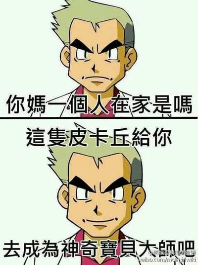 该图为上下两格的连环卡通梗图，使用《精灵宝可梦》中的大木博士形象。上格中博士表情严肃，配文“你媽一個人在家是嗎”；下格中博士嘴角微扬，配文“這隻皮卡丘給你”。通过模仿博士给予主角宝可梦的经典场景，将台词幽默改编，营造出戏谑调侃的效果，常见于朋友间玩笑互动。