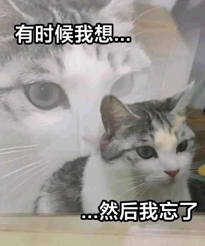 这是一张趣味表情包，画面由两只猫咪的图像组成：上方是一只猫咪的大脸特写，配文“有时候我想...”，表现出若有所思的状态；下方是另一只神态略显茫然的猫咪，配文“...然后我忘了”。整张图通过猫咪的神态和搭配的文字，生动形象地还原了人们日常生活中经常遇到的“刚想到某件事，转眼就完全忘记”的健忘瞬间，用可爱的猫咪形象来调侃这种小尴尬，容易引发人们的共鸣，适合在社交聊天中用来表达自己的健忘时刻。