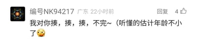 这是一张单张静态的社交媒体评论截图，截图中显示了发布者昵称“编号NK94217”、所在地“广东”、发布时间“22小时前”，该评论获得了4个点赞。评论内容为“我对你揍，揍，揍，不完~（听懂的估计年龄不小了😏”，使用了谐音梗，将刘德华1991年发行的经典歌曲《爱不完》的歌词“我对你爱爱爱不完”中的“爱”替换为“揍”，以调侃的语气玩梗，同时括号内的文字暗示该歌曲具有一定年代感，能理解这个梗的用户大多有一定年龄，最后搭配的吃瓜表情进一步增添了调侃、玩味的氛围，这类内容常用于在社交媒体上引发有共同时代回忆的用户的共鸣。