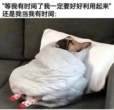 图片上方配有文字'等我有时间了我一定要好好利用起来 还是我当我有时间：'，下方是一只被白色被子包裹着的狗狗，它蜷缩在灰色沙发上，只露出两只戴着粉色带黑点袜子的后腿和闭着眼睛的脑袋，呈现出慵懒休息的状态。通过文字与图片的对比，幽默地展现了人们计划中好好利用时间与现实中只想放松躺平的反差。