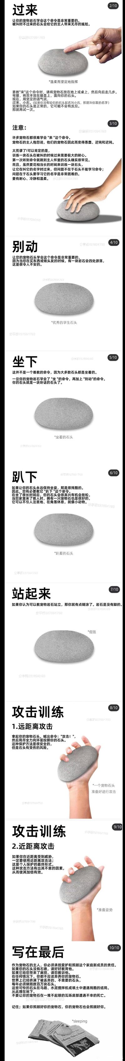 这是一组模仿专业宠物训练手册的超长搞笑图文，一本正经地指导用户训练一块普通鹅卵石完成「过来」「别动」「坐下」「趴下」「站起来」「攻击」等指令，全程用严肃的教程语气包装无意义的行为，通过反差感制造荒诞搞笑的效果。比如教「过来」时让用户反复呼唤石头名字，石头没反应就继续尝试；「站起来」部分直接吐槽「岩石是没有脚的」，最后还一本正经地强调作为宠物石主人的责任，整体充满无厘头的幽默感。