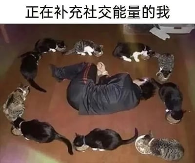 图片上方配有文字'正在补充社交能量的我'，下方画面中一名男子盘腿坐在木质地板上，周围环绕着多只猫咪，每只猫咪都低头专注地从各自的碗中进食。整体场景通过幽默的方式表现了内向者通过与宠物互动来恢复社交能量的生活状态，猫咪的环绕形成一种温暖治愈的氛围。