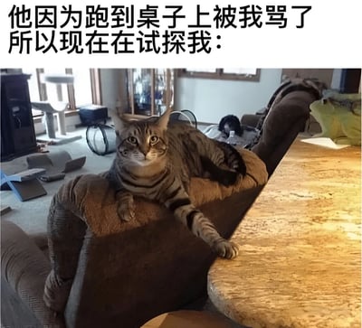 图片上方配有文字说明：'他因为跑到桌子上被我骂了所以现在在试探我：'。下方是一张家庭场景照片，一只虎斑猫正趴在棕色沙发的扶手上，身体放松但头部抬起，眼神警惕地看向镜头。它的一只前爪小心翼翼地搭在旁边木质桌子的边缘，似乎在试探性地触碰之前被禁止上的桌子，展现出被责骂后既想靠近又害怕再次被批评的可爱模样。整个画面温馨又搞笑，生动捕捉了宠物与主人互动中的小心思。