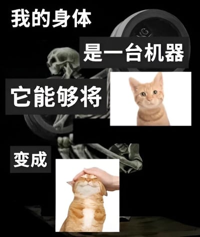 图片以黑色为背景，左侧是一个骷髅形象手持哑铃，右侧和下方拼接了两张橘猫图片。上方文字“我的身体”醒目突出，中间黑色文本框依次写着“是一台机器”“它能够将”，下方文本框写着“变成”。右侧上方是一只平静直视前方的橘猫，下方是同一只橘猫被人抚摸时仰头闭眼、露出享受表情的样子。整体通过将身体比喻成机器，幽默地表现出“身体这台机器能把普通状态的猫变成享受被抚摸状态”的趣味场景，用骷髅的机械感与猫咪的可爱形成反差萌。