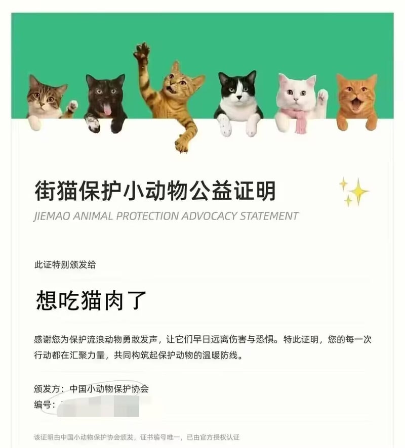 黑白奶牛