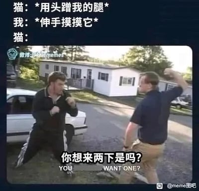 这是一张图文混排的搞笑梗图，上方用文字模拟了人和猫咪的互动流程：猫咪先用头蹭人的腿示好，人顺势伸手抚摸它，结果猫咪立刻态度反转；下方搭配了一张两名男子摆出打架对峙姿势的视频截图，图中配文“你想来两下是吗？YOU WANT ONE?”，用人类即将动手的场景，生动形象地表现出猫咪突然翻脸、仿佛要和人打架的反差感，精准吐槽了猫咪反复无常、难以捉摸的傲娇性格，充满趣味。