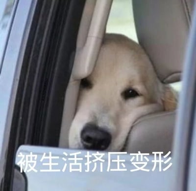 一只金毛犬的头部被紧紧挤压在汽车座椅与车门之间，脸部因挤压而显得有些变形，眼神透露出一丝无奈。图片底部配有白色文字“被生活挤压变形”，通过狗狗的搞笑窘境幽默比喻当代人在生活压力下的状态，引发共鸣。