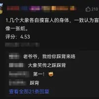 这是一张竖屏的社交媒体评论区纯文字截图，上方是一则原创冷笑话：几个大象摸盲人的身体，一致认为盲人像一张纸，还附带了4.53的评分。下方的评论玩了趣味互动，用“踩背”相关的内容呼应冷笑话，回复“老爷爷，我给你踩背来咯 大象笑之踩踩踩 第一！ 踩背”，通过无厘头的评论放大了冷笑话的搞笑效果，整体风格轻松有趣。