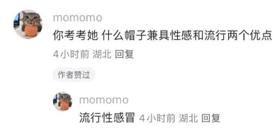 社交媒体评论区截图，用户“momomo”（头像为一只抱着橙色物体的猫）首先发布评论“你考考她 什么帽子兼具性感和流行两个优点”，4小时前来自湖北，且被作者点赞。随后该用户再次评论“流行性感冒”，利用“流行”与“性感”的谐音组合形成双关梗，幽默回应了自己提出的问题。