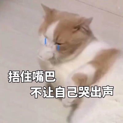 一只橘白相间的猫咪，眼睛下方被编辑上了蓝色的眼泪特效，正用前爪捂住自己的嘴巴，表情看起来十分委屈。图片下方配有文字“捂住嘴巴 不让自己哭出声”，整体营造出一种强忍着悲伤、不想让别人发现自己在哭泣的可爱又可怜的氛围。