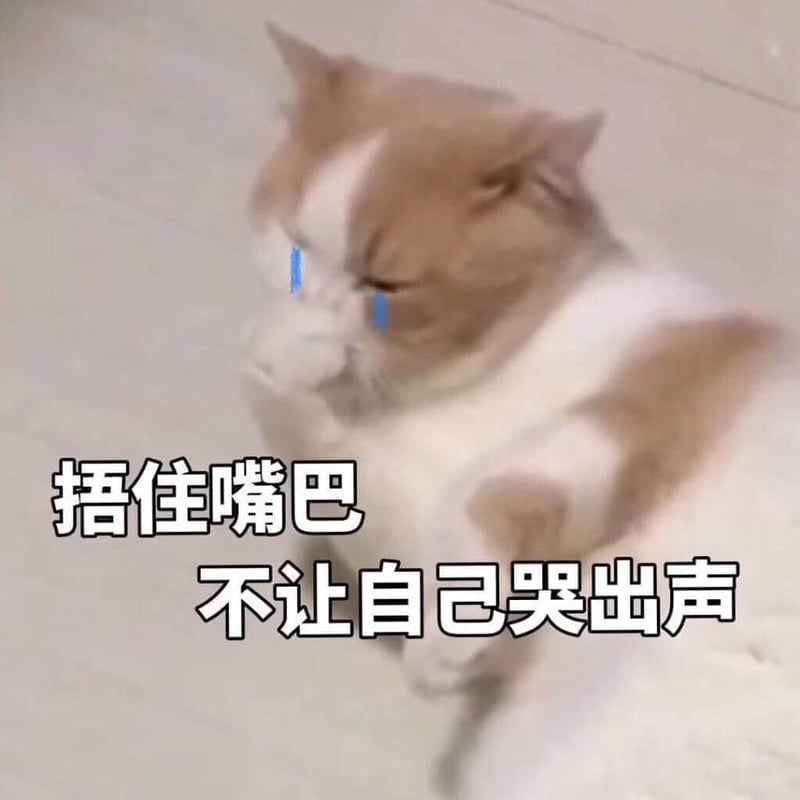 捂嘴不哭的委屈猫咪