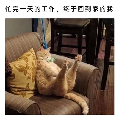 这是一张充满共鸣感的趣味梗图，图片上方配有文字“忙完一天的工作，终于回到家的我”，图中一只橘色猫咪仰靠在沙发的花纹靠枕上，双眼紧闭，后腿向上抬起，整个身体毫无形象地瘫在沙发里，姿态慵懒又惬意。通过拟人化的方式，将猫咪的放松姿态与打工人结束一天忙碌工作后回到家中彻底放松的状态完美结合，精准戳中职场人的心境，引发强烈共鸣。