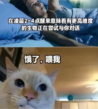 这是一张上下拼接的搞笑梗图，上图呈现了一个人凌晨躺在床上的场景，配文用玄乎的语气营造神秘氛围：“在凌晨2-4点醒来意味着有更高维度的生物正在尝试与你对话”；下图是一只仰头的猫咪，配文直白地写出“饿了，喂我”，用强烈的反差感戳中养猫人的日常——凌晨被猫叫醒的真实原因根本不是什么神秘事件，只是猫主子饿了要吃饭，幽默解构了玄乎的说法，精准调侃了养猫人的无奈又好笑的经历。