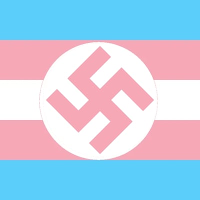 这是一张经过恶意改编的静态合成图，在原本代表跨性别群体的蓝粉白三色横条骄傲旗帜正中央，叠加了一个粉色的纳粹卐字符号，是对原始旗帜的不当修改。