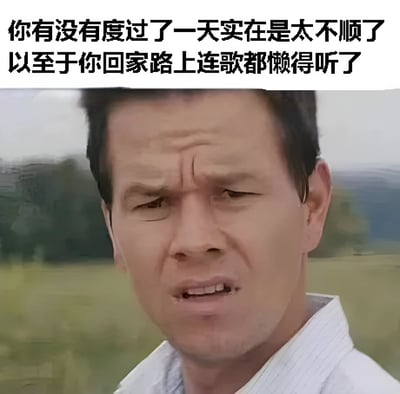 图片上方有黑色文字：'你有没有度过了一天实在是太不顺了以至于你回家路上连歌都懒得听了'，下方是一位男性的面部特写，他眉头紧锁，表情严肃，背景为模糊的绿色草地和树木，整体传达出疲惫、无奈的情绪。