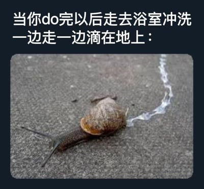 图片上方配有文字“当你do完以后走去浴室冲洗 一边走一边滴在地上：”，下方是一张实拍蜗牛的照片。蜗牛正缓慢爬行在灰色地面上，身后留下一条清晰的银色黏液痕迹，通过蜗牛爬行时留下黏液的自然现象，幽默类比人在特定情境下走动时液体滴落地面的场景，形成一种生活化的搞笑联想。