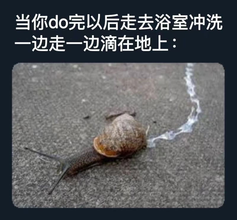蜗牛