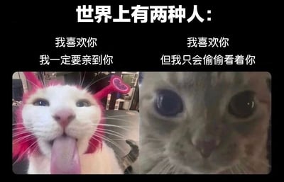 图片采用黑色背景，上方以白色粗体字标注标题“世界上有两种人：”。标题下方分为左右两栏，每栏由文字和猫咪图片组成。左侧文字为“我喜欢你 我一定要亲到你”，搭配一只戴着粉色心形发饰、吐着舌头的白猫，猫咪表情夸张活泼，展现出主动大胆的特质；右侧文字为“我喜欢你 但我只会偷偷看着你”，对应一只眼睛瞪得溜圆、眼神略带羞涩的猫咪，神态腼腆拘谨。通过两种猫咪截然不同的表情与文字描述，幽默对比了两种对待喜欢事物的极端态度——一种热情直接，一种含蓄内敛。