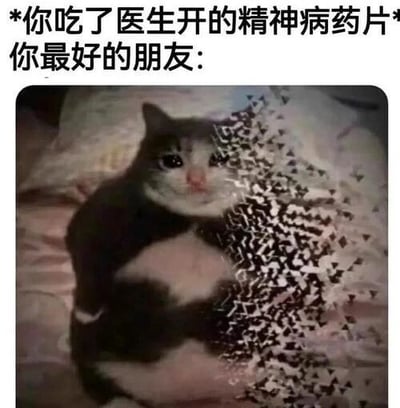 图片上方配有文字'*你吃了医生开的精神病药片* 你最好的朋友：'，下方是一只黑白相间的猫坐在床上，猫的右侧脸部被密集的黑白三角形图案覆盖，呈现出类似电子故障（glitch）的扭曲视觉效果。整体通过故障艺术风格的图像处理，幽默夸张地表现了服用精神病药片后，对最好朋友形象产生的荒诞化感知。